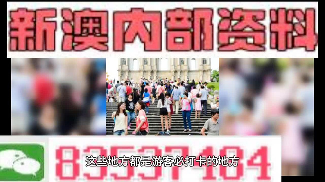 新澳精準資料免費提供，深度解析與實用指南，新澳精準資料解析與實用指南，免費資料分享