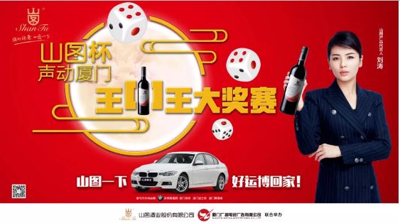 揭秘王中王背后的故事，從肖中的視角看其在SEO領(lǐng)域的輝煌成就，肖中視角下的王中王，SEO領(lǐng)域的輝煌成就揭秘