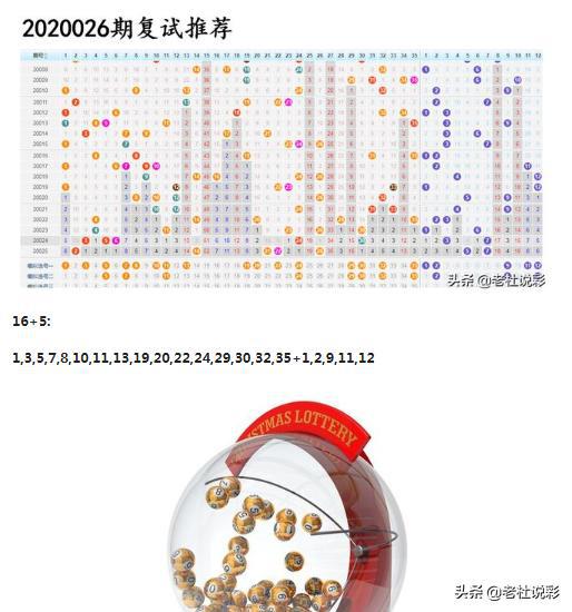 王中王026期指一生肖，深度解讀與SEO優(yōu)化策略，王中王026期生肖深度解讀與SEO優(yōu)化策略全解析