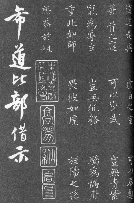 一肖二碼中特的意思解析，一肖二碼中特的意思深度解析
