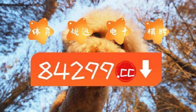 今期必中一肖一碼白小姐，揭秘彩票背后的秘密與策略，揭秘彩票背后的秘密與策略，白小姐今期必中一肖一碼解析