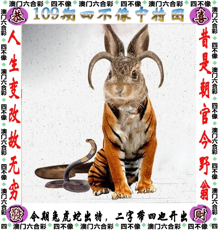 四不像王中王資料一肖，深度解析與探索，四不像王中王資料一肖，深度解析與探索揭秘