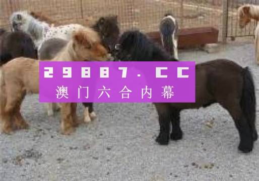 王中王平特一肖四不像圖，深度解析與SEO優(yōu)化策略，王中王平特一肖四不像圖，深度解析與SEO優(yōu)化策略探討