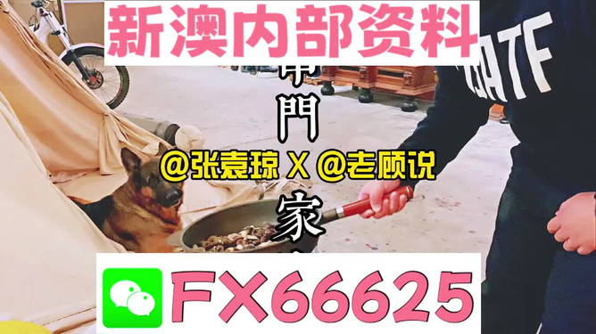新澳門精準(zhǔn)資料大全，管家婆料解析與探索，澳門精準(zhǔn)資料大全，管家婆料解析與深度探索