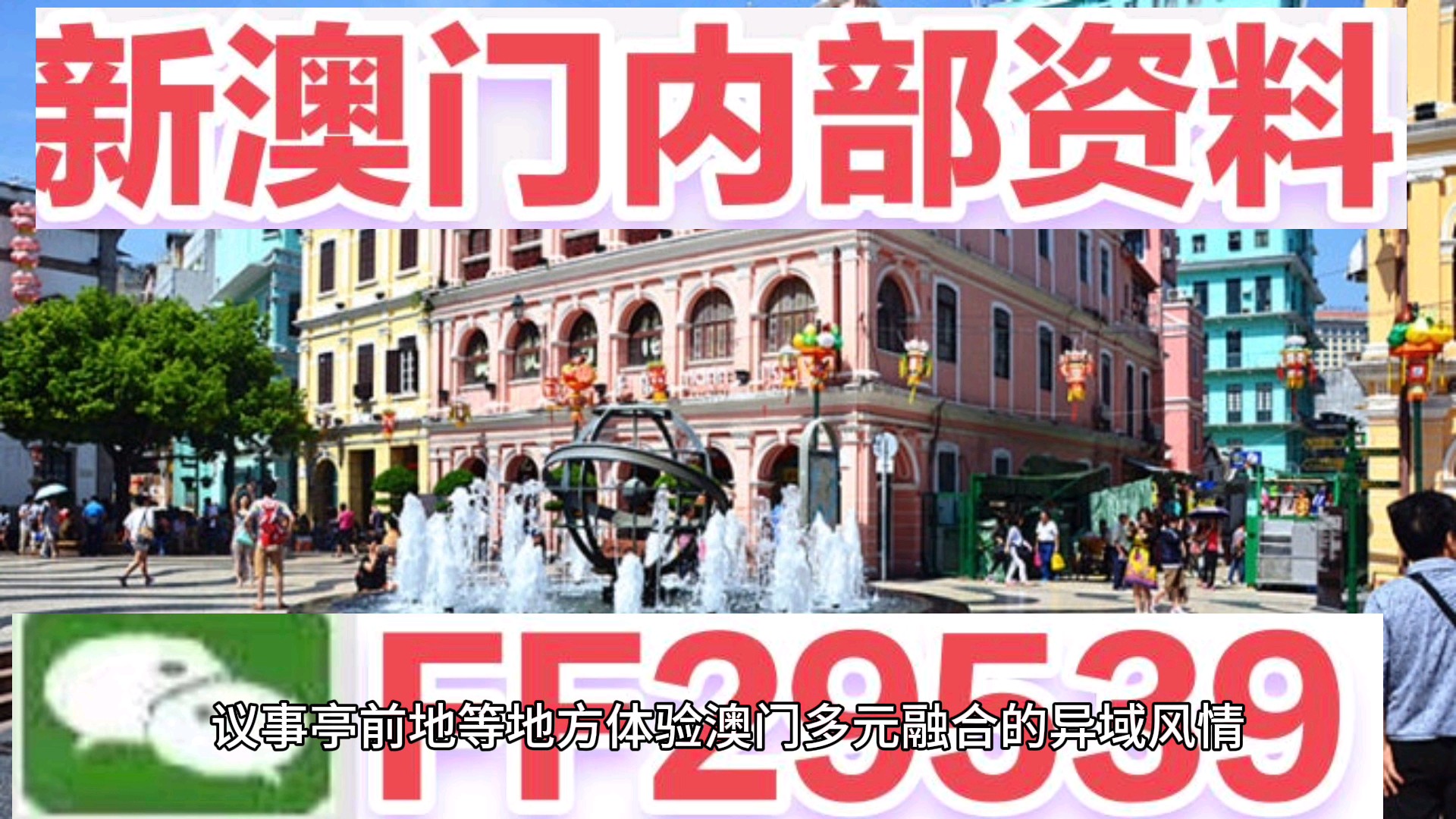 澳門今晚必開一肖一特，揭秘生肖彩票的魅力與策略，澳門生肖彩票揭秘，必開一肖一特的魅力與策略