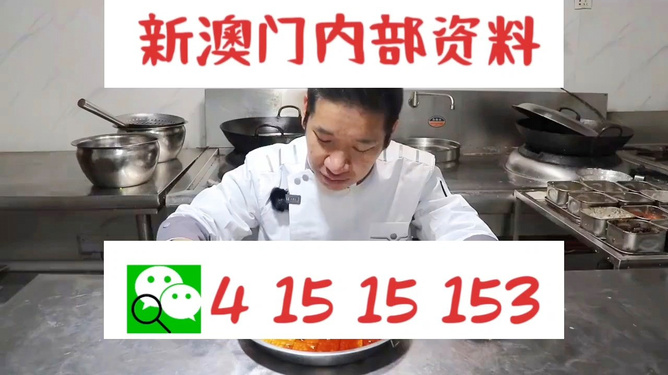 管家婆一肖資料大全，深度解析與探索，管家婆一肖資料深度解析與探索大全