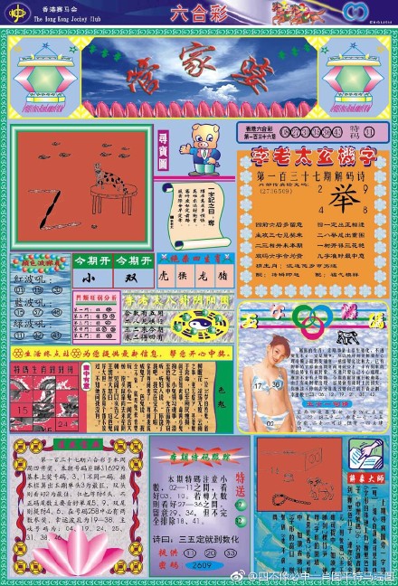 揭秘66O678王中王定碼四不像一肖，神秘數(shù)字背后的故事，揭秘神秘數(shù)字背后的故事，揭秘66O678王中王定碼四不像一肖的傳說