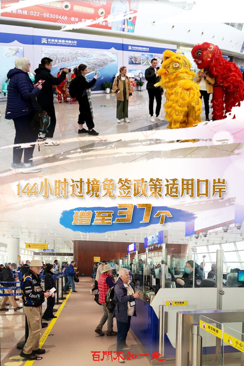揭秘王中王一碼一肖一特一中，背后的秘密與玄機，揭秘王中王一碼一肖一特一中，背后的秘密與玄機揭秘真相