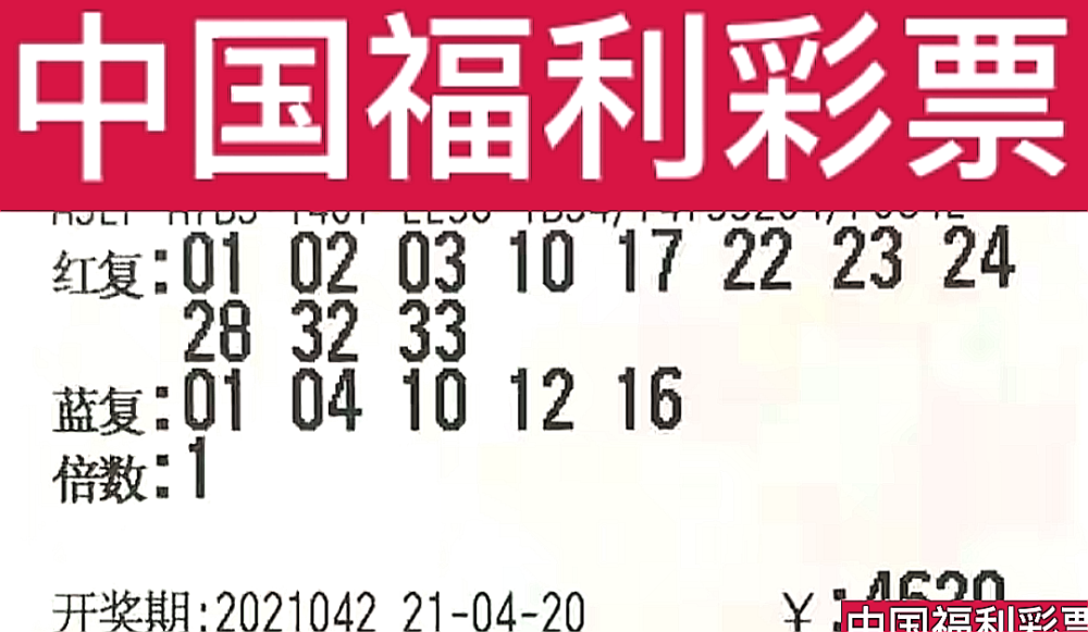 新奧門今晚開獎結(jié)果查詢第243期，全面解析與預(yù)測，新奧門第243期開獎結(jié)果解析與預(yù)測，今晚開獎揭秘