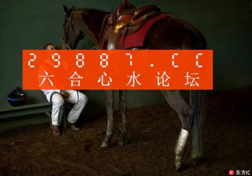 一肖一馬王中王一馬中特，深度解析與SEO優(yōu)化策略，一肖一馬王中王深度解析與SEO優(yōu)化策略探討