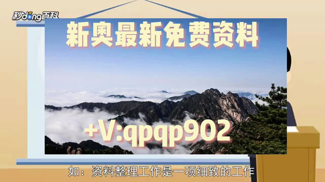 新奧49正版資料，全面解析與SEO優(yōu)化策略，新奧49正版資料詳解與SEO優(yōu)化策略探討