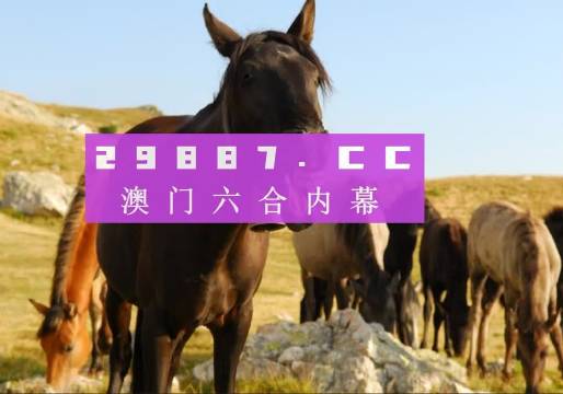 管家婆必開一肖一碼，澳門精準(zhǔn)分析與預(yù)測，管家婆必開一肖一碼，澳門精準(zhǔn)分析與預(yù)測揭秘