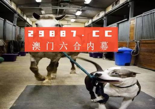澳門一肖一碼一必中一肖，同舟前進的奧秘與策略，澳門一肖一碼必中策略與前進奧秘，同舟共濟的揭秘與策略