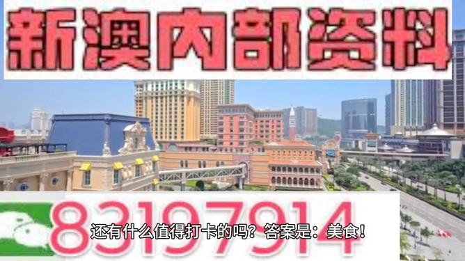 澳門免費精準資料，探索204年的秘密與機遇，澳門204年秘密與機遇探索，免費精準資料揭秘