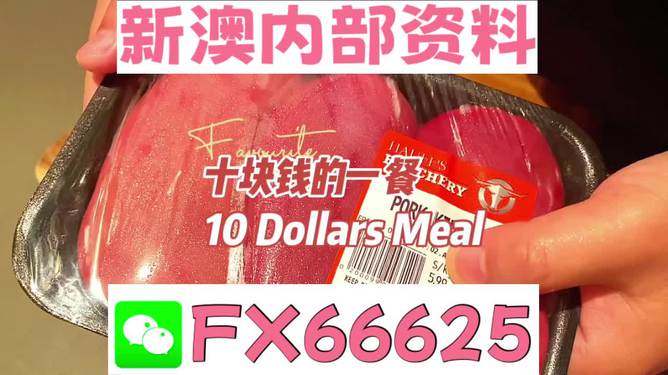 揭秘2025新奧精準(zhǔn)正版資料，全方位解讀與SEO優(yōu)化策略，揭秘2025新奧精準(zhǔn)正版資料，全方位解讀與SEO策略優(yōu)化指南