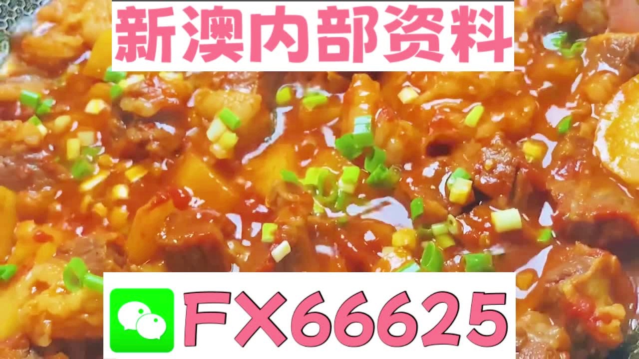 新奧天天免費(fèi)資料大全——探索與優(yōu)化的SEO之旅，新奧天天免費(fèi)資料大全，SEO探索與優(yōu)化之旅