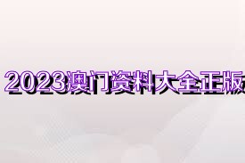 澳門資料大全正版資料免費，探索未來的澳門與2025展望，澳門未來展望，資料大全正版免費探索與2025展望