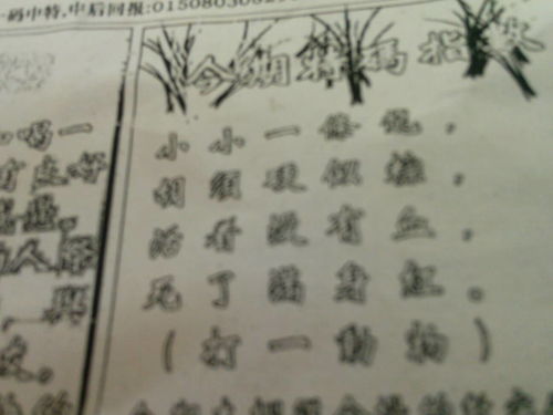 必中劉伯溫猜一肖，揭秘生肖預(yù)測(cè)的神秘面紗，揭秘劉伯溫生肖預(yù)測(cè)，探尋生肖神秘面紗下的真相
