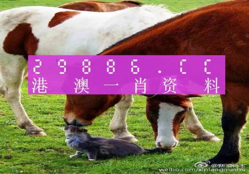 新奧門一肖一碼，揭秘精準(zhǔn)預(yù)測(cè)的秘密，揭秘新澳門一肖一碼精準(zhǔn)預(yù)測(cè)的秘密