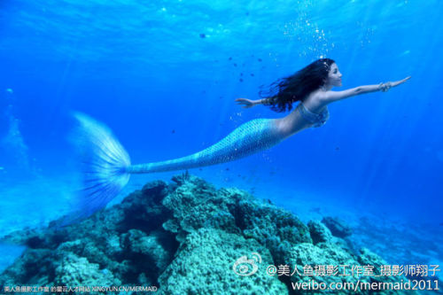 澳門美人魚最快開獎(jiǎng)結(jié)果圖——揭秘?zé)衢T彩票游戲背后的秘密，澳門美人魚彩票開獎(jiǎng)揭秘，最新結(jié)果圖與游戲背后秘密探索