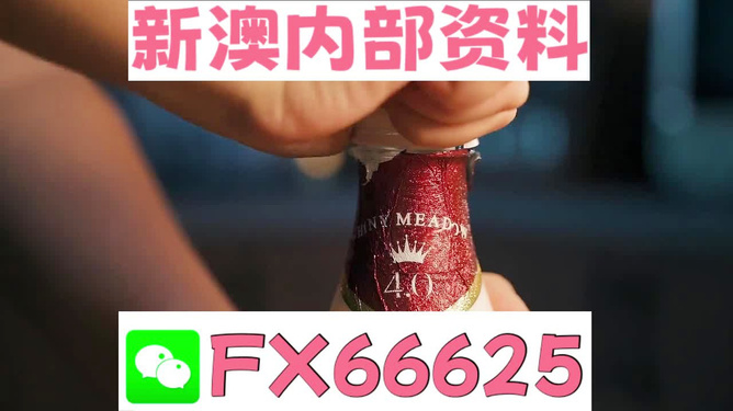 新澳門一碼一碼，揭秘精準預測的秘密與真相，揭秘澳門一碼一碼精準預測的秘密與真相