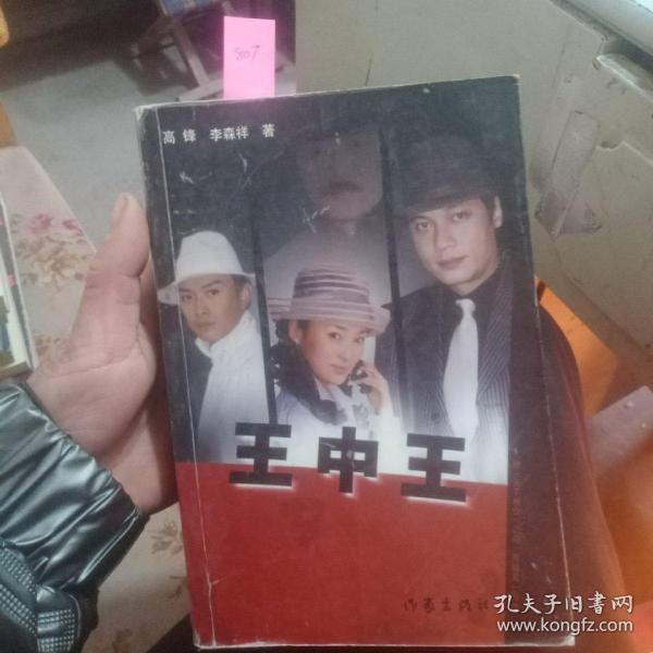 王中王資料一肖中天，深度解析與探索，王中王資料一肖中天，深度剖析與探索