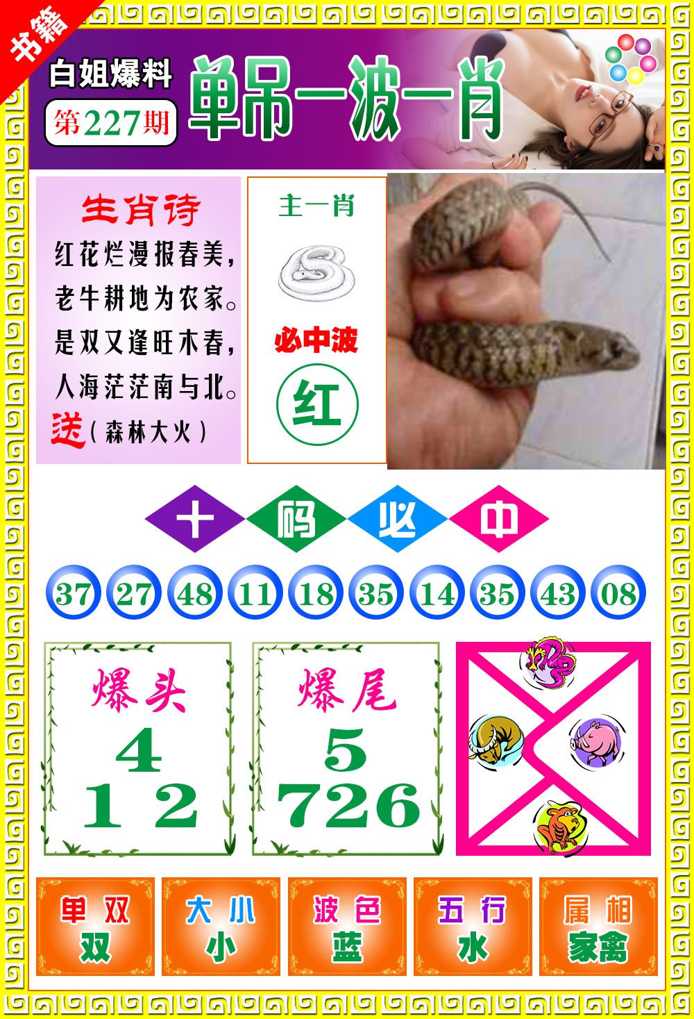 王中王免費(fèi)開(kāi)獎(jiǎng)一肖結(jié)果，揭秘彩票背后的秘密，揭秘王中王彩票開(kāi)獎(jiǎng)內(nèi)幕，一肖結(jié)果背后的秘密揭曉