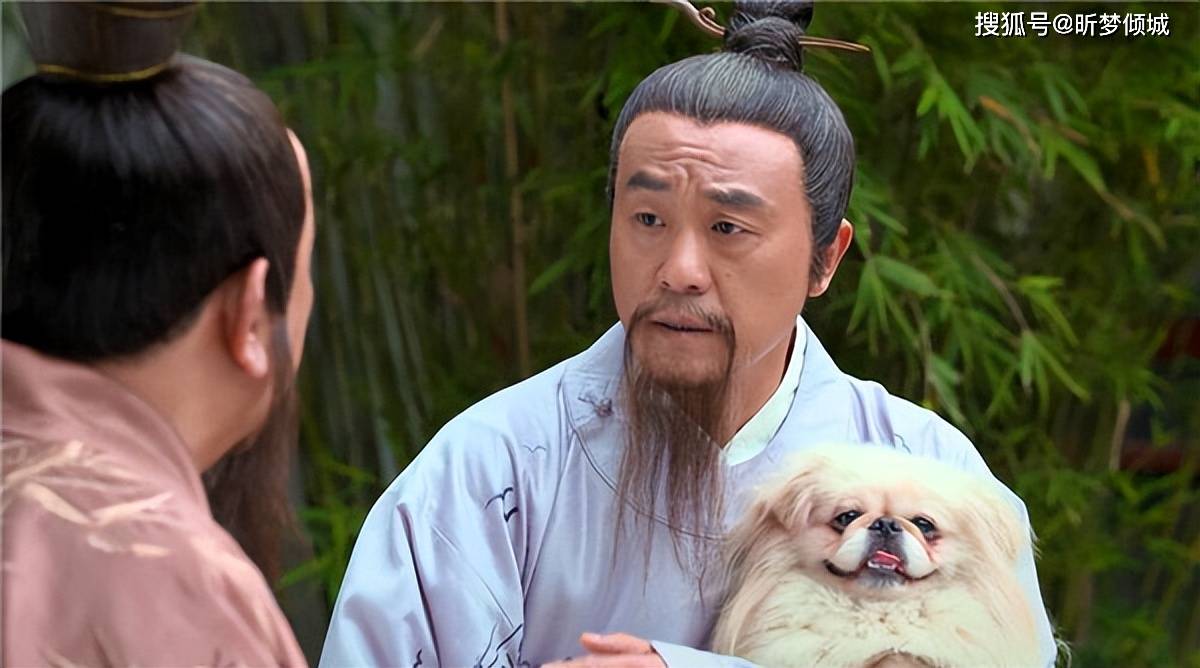 揭秘劉伯溫四不象一肖的神秘面紗——探尋背后的傳奇故事，揭秘劉伯溫四不象一肖背后的傳奇故事，神秘面紗下的神秘傳說