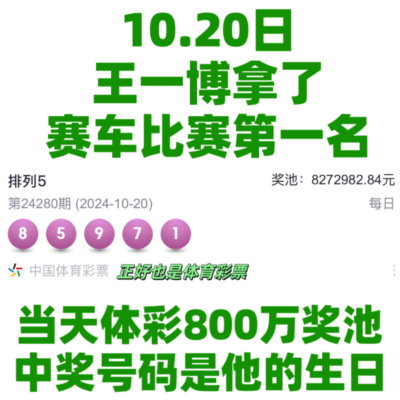 王中王一肖資料中特馬——深度解析與SEO洞察，王中王一肖特馬深度解析與SEO洞察揭秘