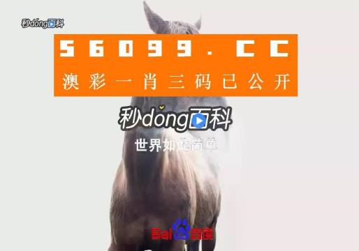 香港內(nèi)部公開(kāi)資料一碼，深度解析與探索，香港內(nèi)部公開(kāi)資料一碼深度解析與探索揭秘