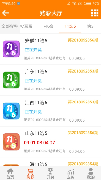 王中王資料一肖一特，深度解析與探索，王中王資料一肖一特，深度解析與探索揭秘