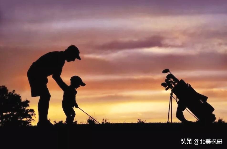 森林高手王中王與神秘生肖——深度解讀背后的故事與秘密，森林高手王中王與神秘生肖，故事背后的深度解讀與秘密探尋