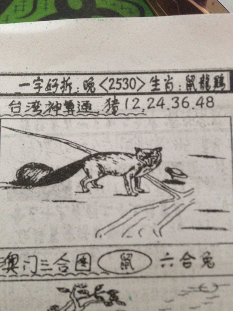 揭秘生肖奧秘，看圖猜一生肖劉伯溫的傳奇故事，揭秘生肖奧秘，劉伯溫傳奇故事中的生肖之謎探索