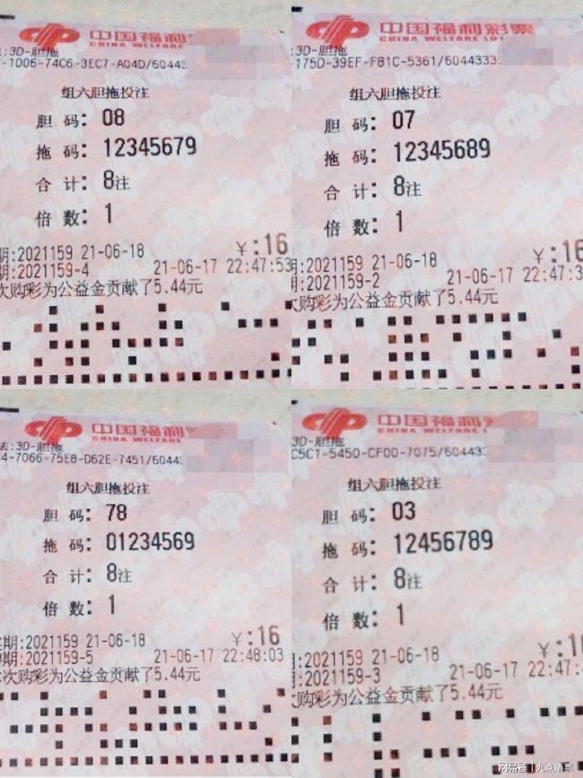 王中王四肖精選一肖新聞，揭秘背后的故事與趨勢，王中王四肖精選揭秘，背后的故事與趨勢聚焦一肖新聞