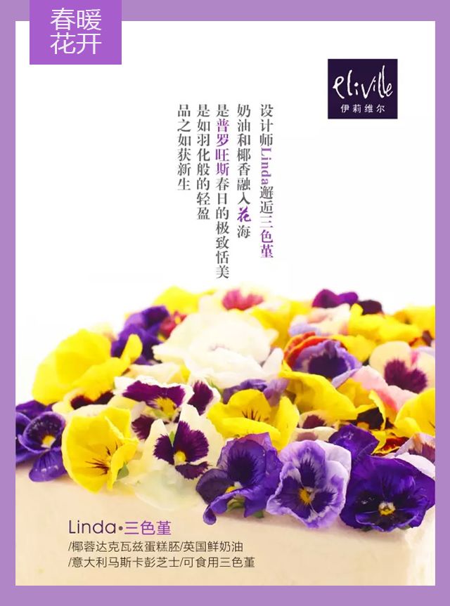 王中王339期指一生肖——探尋背后的秘密與玄機，探尋王中王339期生肖背后的秘密與玄機