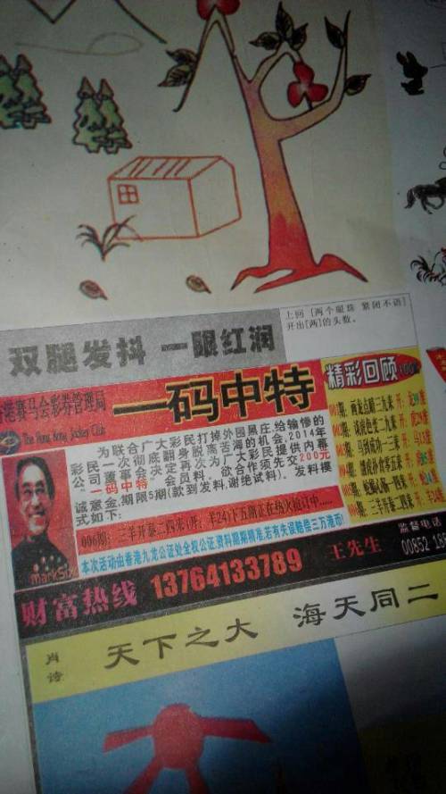 欲錢詩猜一肖——探尋王中王的奧秘，探尋王中王的奧秘，欲錢詩猜一肖