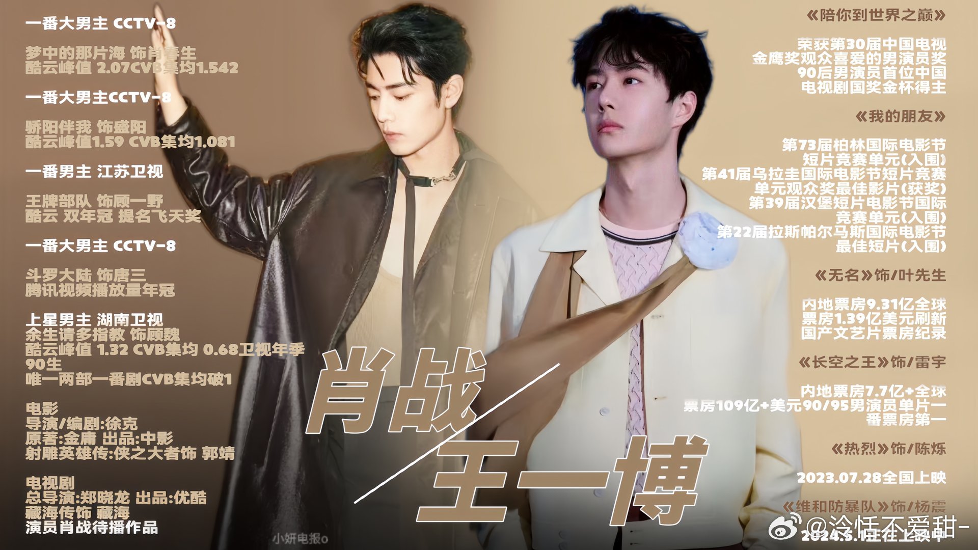 王中王一肖中特全年資料解析與SEO優(yōu)化策略，王中王一肖中特全年資料解析與SEO策略詳解