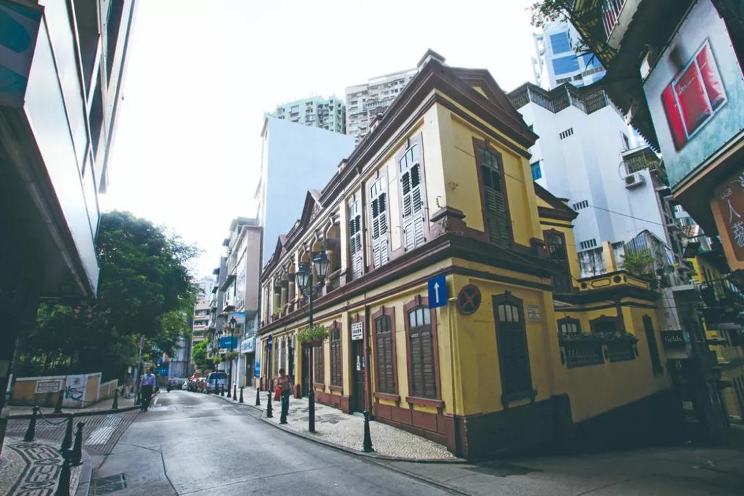 澳門今晚必開一肖，揭秘生肖運(yùn)勢(shì)與預(yù)測(cè)邏輯，澳門今晚生肖預(yù)測(cè)揭秘，生肖運(yùn)勢(shì)與預(yù)測(cè)邏輯分析
