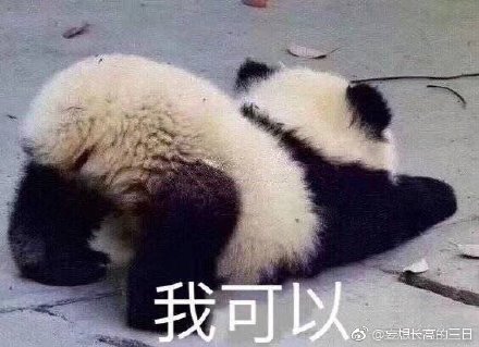 揭秘劉伯溫特一肖與四不像的神秘面紗——探尋背后的故事與真相，劉伯溫特一肖與四不像背后的故事與真相揭秘