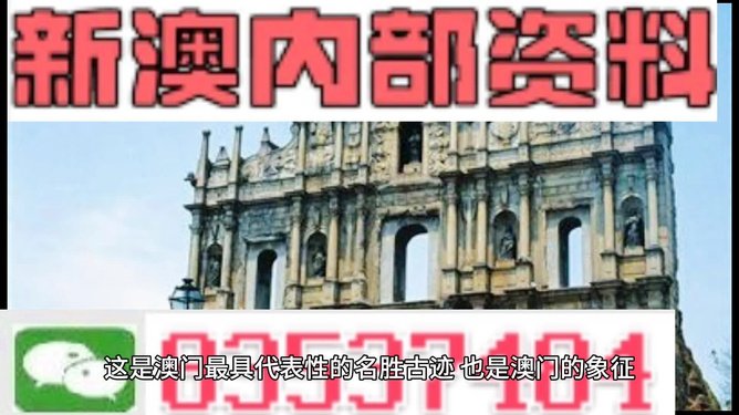 新澳門正版免費(fèi)資料查詢方法與技巧，澳門正版免費(fèi)資料查詢方法與技巧解析
