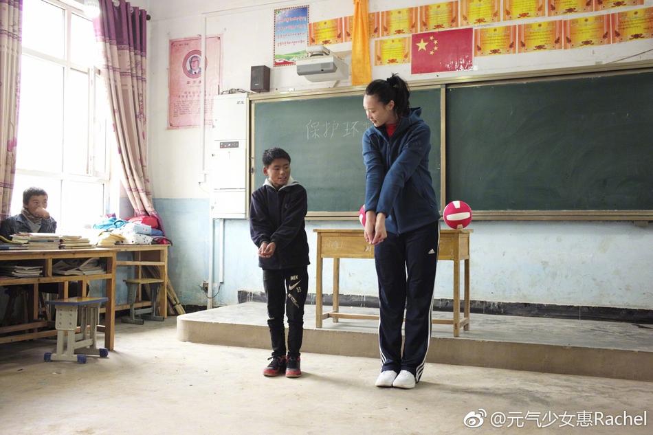 王中王平特一肖一大公開，深度解析與探索，王中王平特一肖公開，深度解析與探索揭秘