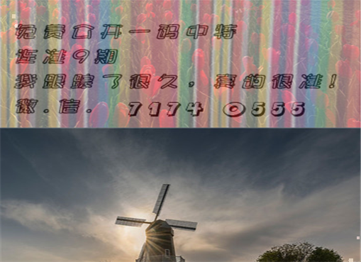 王中王四肖三期必出一期，揭秘彩票背后的秘密策略與技巧，揭秘彩票策略與技巧，王中王四肖三期必出一期之道