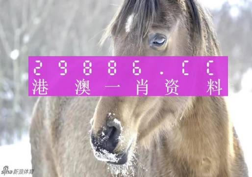揭秘一肖一碼，澳門100%準(zhǔn)確預(yù)測背后的秘密，揭秘澳門一肖一碼預(yù)測背后的真相與秘密
