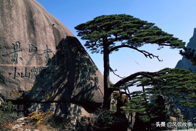 真實與虛幻的交融