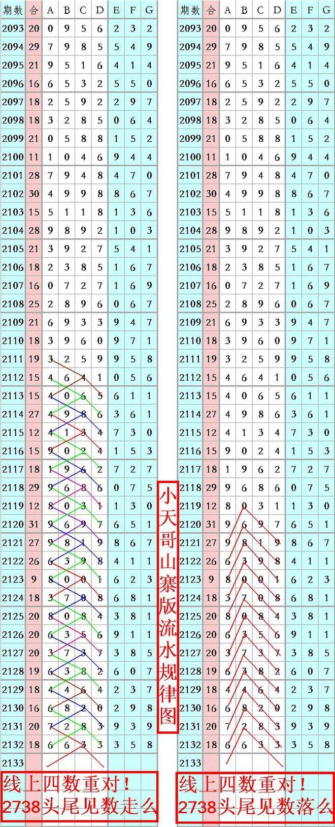 王中王資料一肖正特馬，深度解析與探索，王中王資料一肖正特馬深度解析與探索揭秘