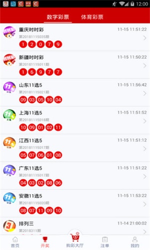 一碼一肖，揭秘背后的秘密與探索其獨特魅力，揭秘一碼一肖背后的秘密與獨特魅力探索