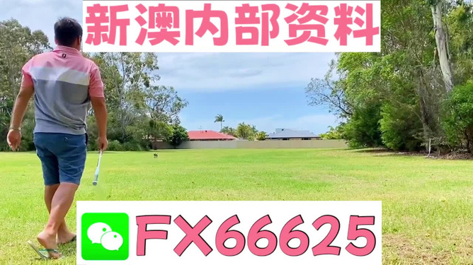 王中王一碼二肖，揭秘背后的秘密，揭秘王中王一碼二肖背后的秘密