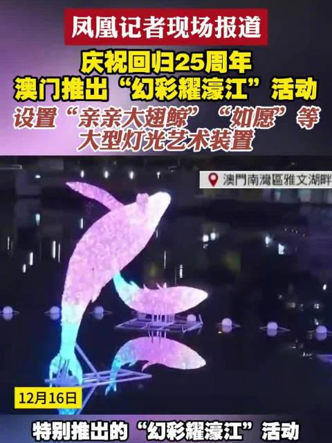 新澳門六開(kāi)獎(jiǎng)結(jié)果查詢濠江論壇——快速獲取開(kāi)獎(jiǎng)信息的首選平臺(tái)，澳門六開(kāi)獎(jiǎng)結(jié)果查詢首選平臺(tái)，濠江論壇快速更新開(kāi)獎(jiǎng)信息