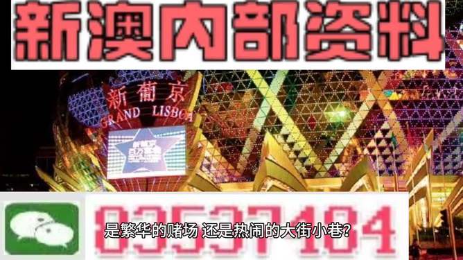 新澳門精準(zhǔn)資料大全管家婆料，探索與解析，澳門精準(zhǔn)資料大全解析，探索管家婆料內(nèi)幕