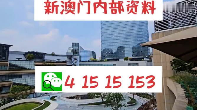 芳草地2025澳門資料，探索未來的奧秘，探索澳門未來奧秘，芳草地資料揭示的藍圖 2025年展望